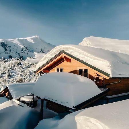 Heidi Chalets Falkert Heidialm - Chalets Bergwinter Patergassen 外观 照片