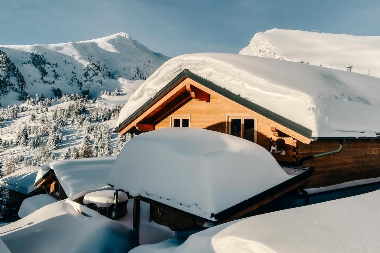 Heidi Chalets Falkert Heidialm - Chalets Bergwinter Patergassen 外观 照片