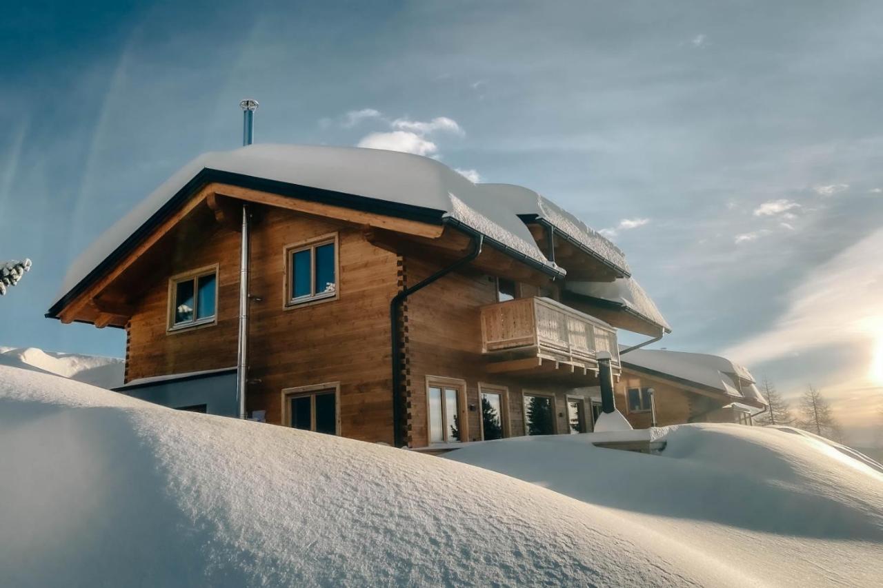 Heidi Chalets Falkert Heidialm - Chalets Bergwinter Patergassen 外观 照片