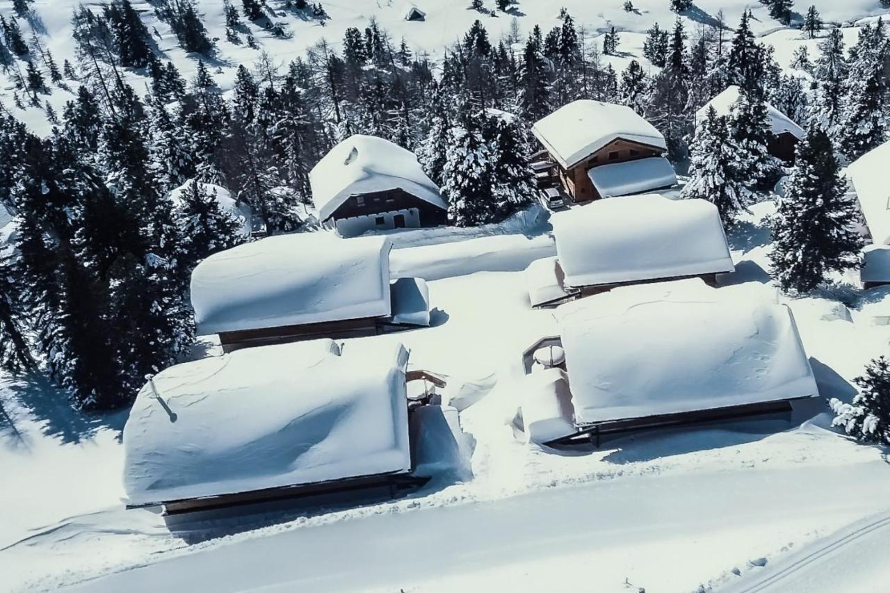 Heidi Chalets Falkert Heidialm - Chalets Bergwinter Patergassen 外观 照片