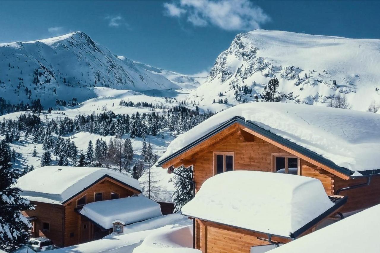 Heidi Chalets Falkert Heidialm - Chalets Bergwinter Patergassen 外观 照片