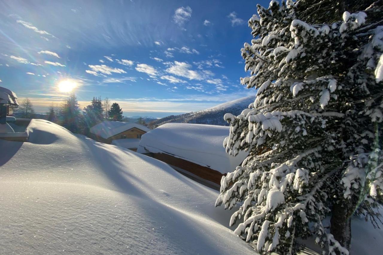 Heidi Chalets Falkert Heidialm - Chalets Bergwinter Patergassen 外观 照片