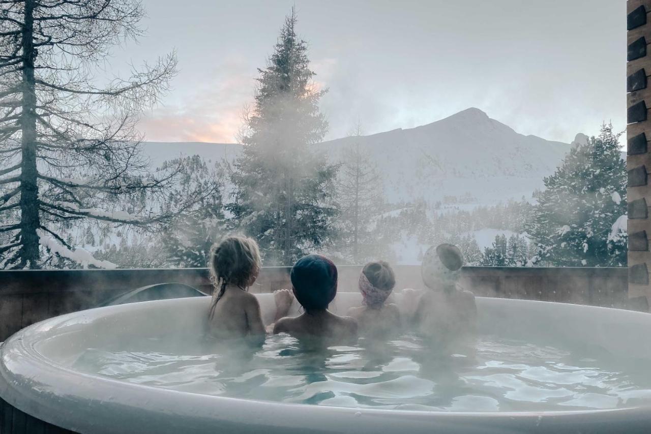 Heidi Chalets Falkert Heidialm - Chalets Bergwinter Patergassen 外观 照片